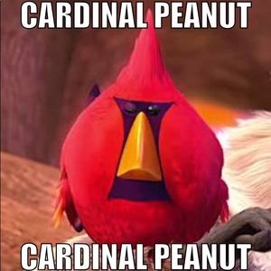 Meet your Posher, Alexander